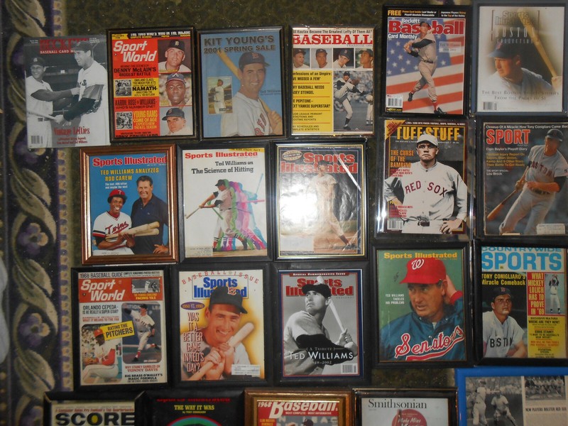 164 Boston Red Sox Cards Mags Ads Ted Williams Carl Yastrzemski HC w/DJ Books NR