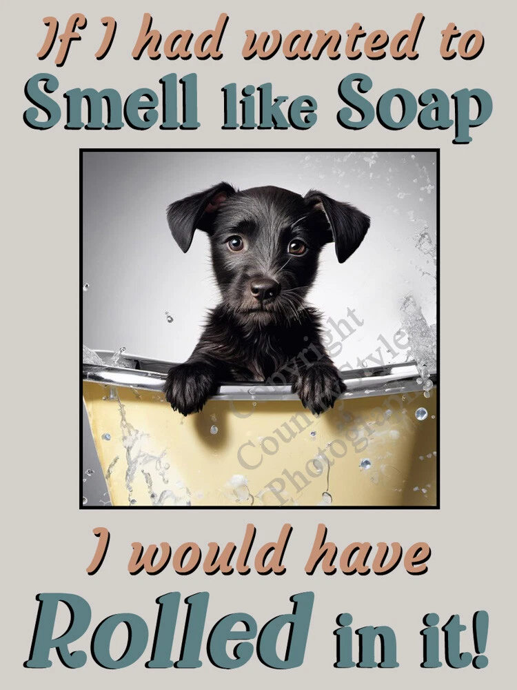 Patterdale gifts cheap