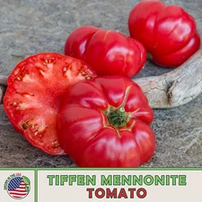 10 Tiffen Mennonite Tomato Seeds, Heirloom, Non-GMO, Genuine USA