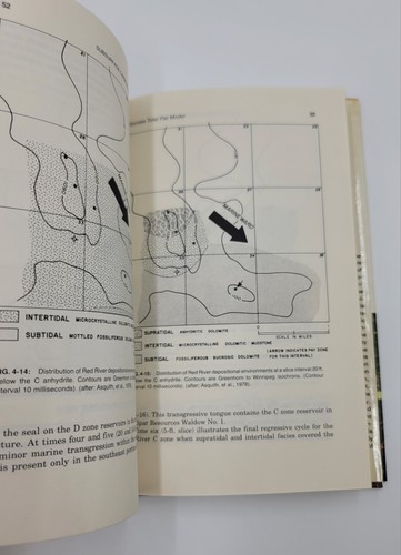 Subsurface Carbonate Depositional Models: A Concise Review By G.B. Asquith 1979 - Picture 18 of 24