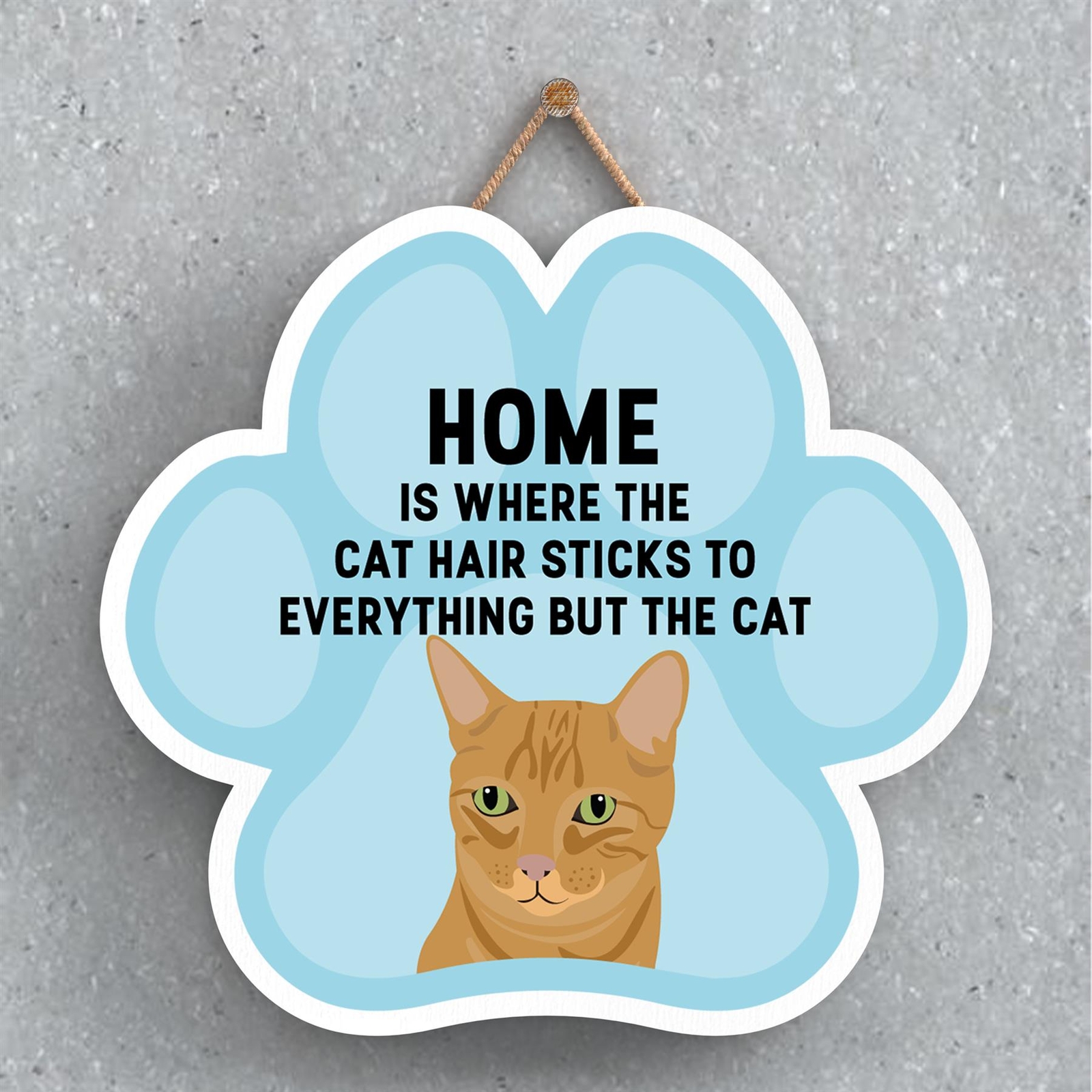 Ginger Tabby Cat Hair Sticks To Everything Katie Pearson Pawprint Wooden Plaque
