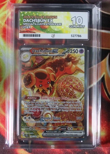 Pokémon TCG Dachsbun ex 169/142, Stellar Crown SIR Holo Ace 10