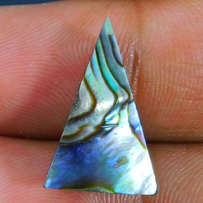 Wholesale 05.80Cts. Natural Amazing Paua Abalone Shell Triangle