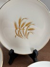 SALE!  5 Homer Laughlin Golden Wheat 6” Bread & Butter Plates 22Kt Gold Trim — photo 4