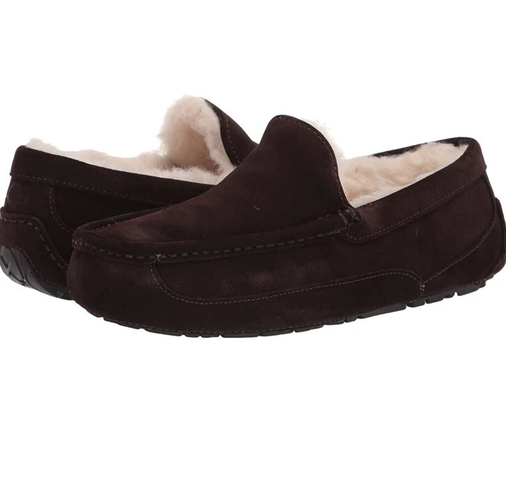 Mocassino Ugg Uomo Ascot Scamosciato Lana Slip On Ciabatta Espresso Marrone Taglia 10 US