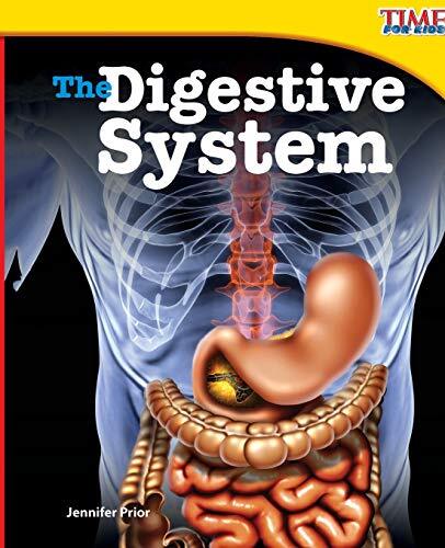 The Digestive System Jennifer Prior - Image 5