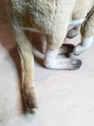 Bild 5 von 9