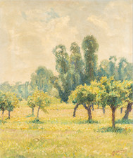 GIGI COMOLLI - NUBI E SOLE - MAGNIFICO OLIO