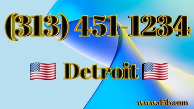 313 Detroit, MI Vanity Easy Phone (313) 451-1234 Number