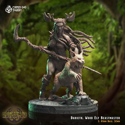 Darieth Druide Elf Beastmaster Druidic Circle Crippled God Foundry D&D Miniatur