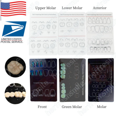 6Pc Dental Composite Resin Filling Model Student Practise Teeth Morphology Board