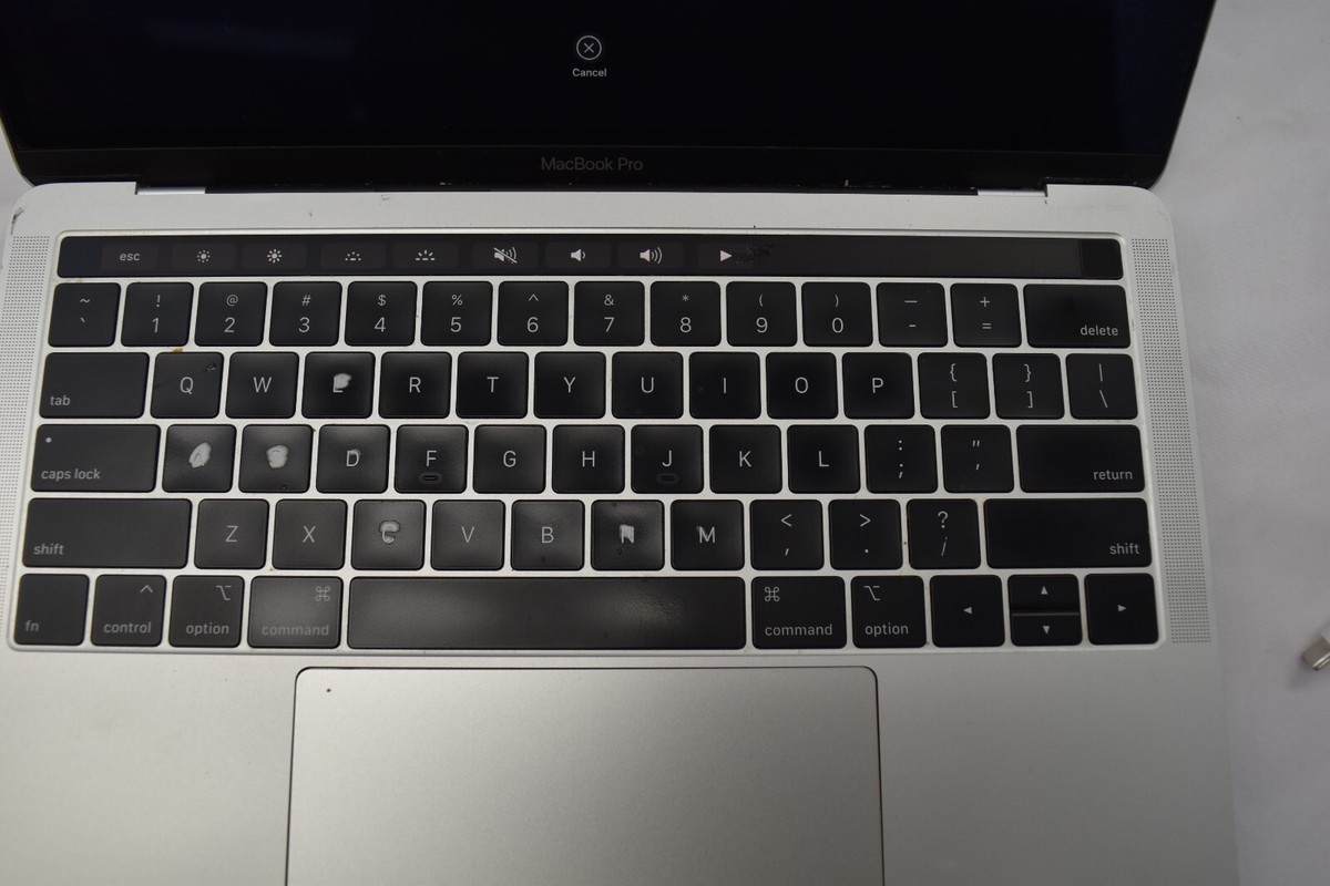 2019 MacBook Pro 13 in 2.4GHz i5 8GB 256 SSD with Extras | eBay