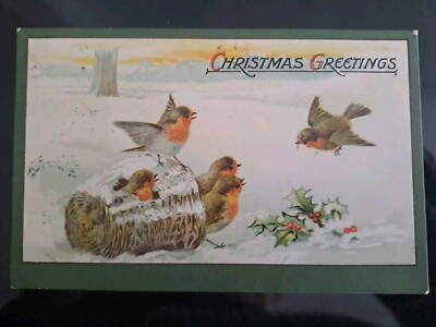 Tuck 162 Weihnachtsgrüße Robins Stechpalme Schneekorb 1907