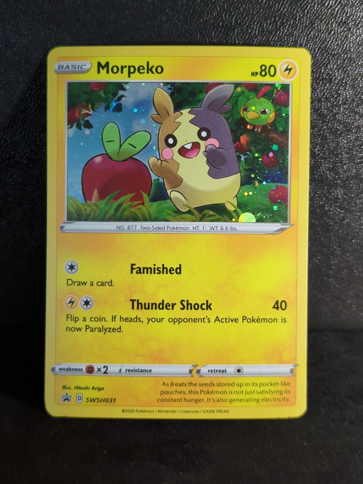 Pokemon - MORPEKO SWSH031 - COSMOS HOLO PROMO - NM/M
