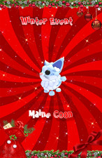 Maine Coon | Winter Event