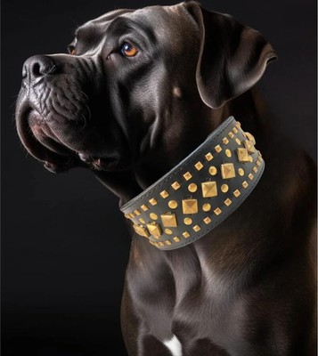 STG Premium Black Studs Leather Dog Collar Handmade Dailywear Unisex Dog Collar