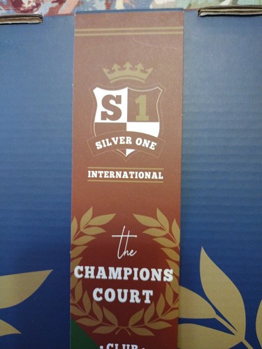 NEW Champions Court Club Pickleball Wooden Paddle Green 2 Paddles 2 Balls Set  - Afbeelding 7 van 10