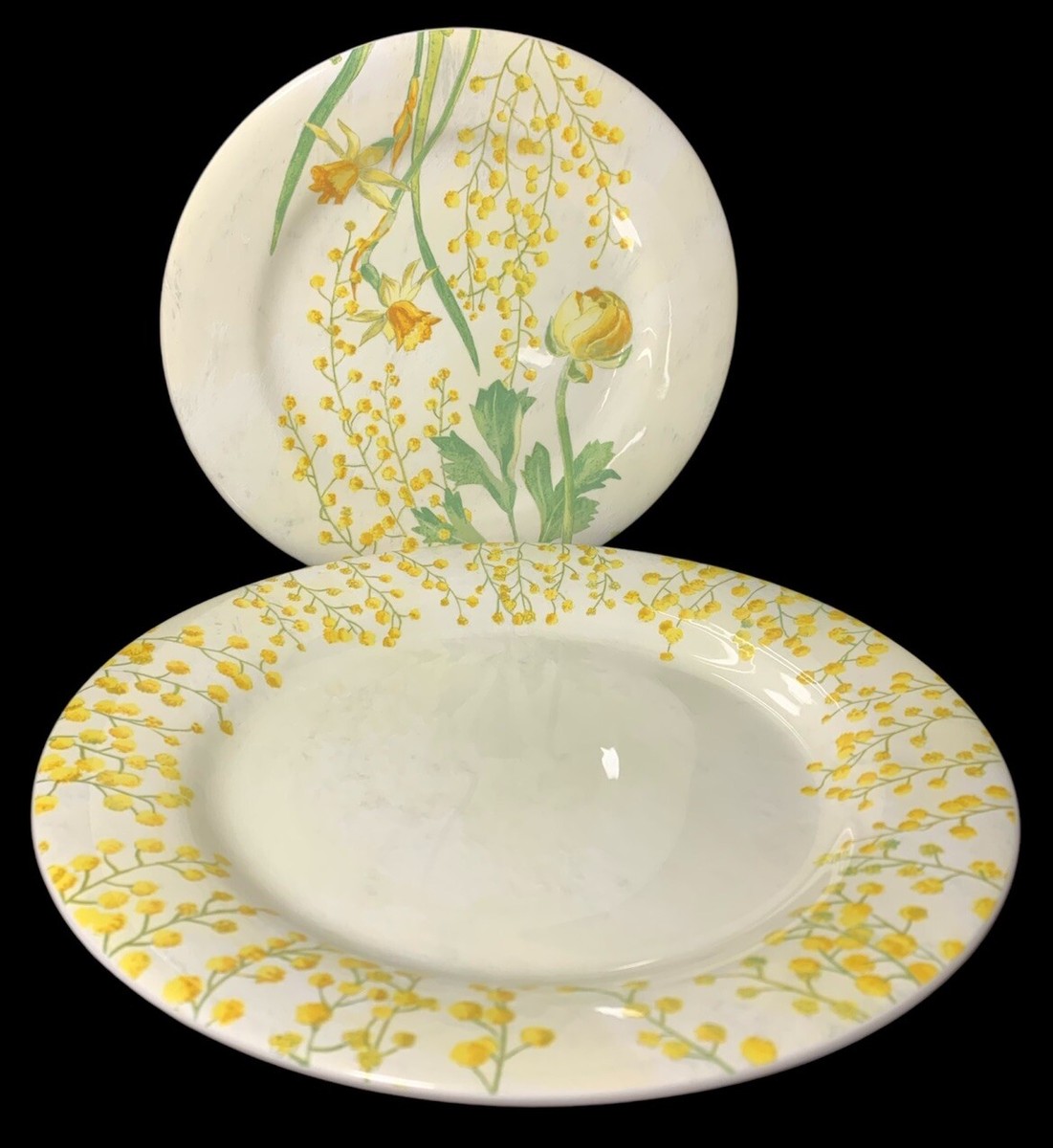 GIen FRANCE プレート Gien France Mimosa Dessert Salad Plate 8.5
