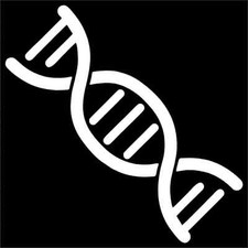 DNA Double Helix Vinyl Decal / Sticker 2(TWO) Pack