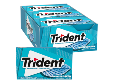 Trident Wintergreen Sugar Free Gum, 12 Packs of 14 Pieces (168