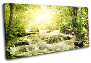 Forest Stream River Green Landscapes Single Canvas Wall Art Picture Print Ebay