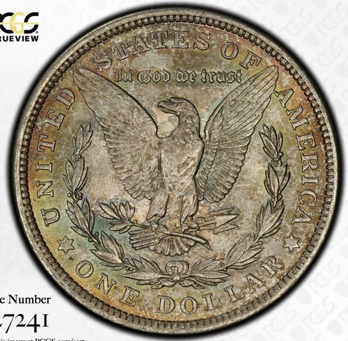 1921 MS64 Rainbow Toned PCGS Morgan TrueView Fresh PQ Gold Shield