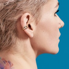 All Surgical Steel Hinged Segment Hoop Ring CZ Center Cartilage Tragus Helix