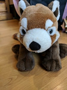 wild republic raccoon