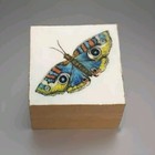 Bild 1 von 4