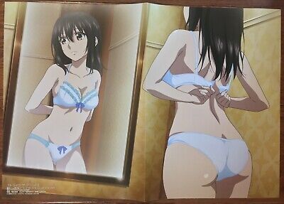 Strike the Blood / Armed Girl's Machiavellism Dual Sided Poster