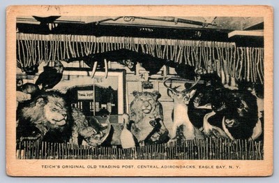K60/ Eagle Bay New York Postcard c30 Adirondacks Teich's Trading Post 159
