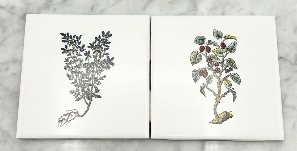 复古 Mid-State/Mannington MCT 瓷砖 4 3/8 英寸白色花卉植物口音 2 件套 — 第 4/4 张图片