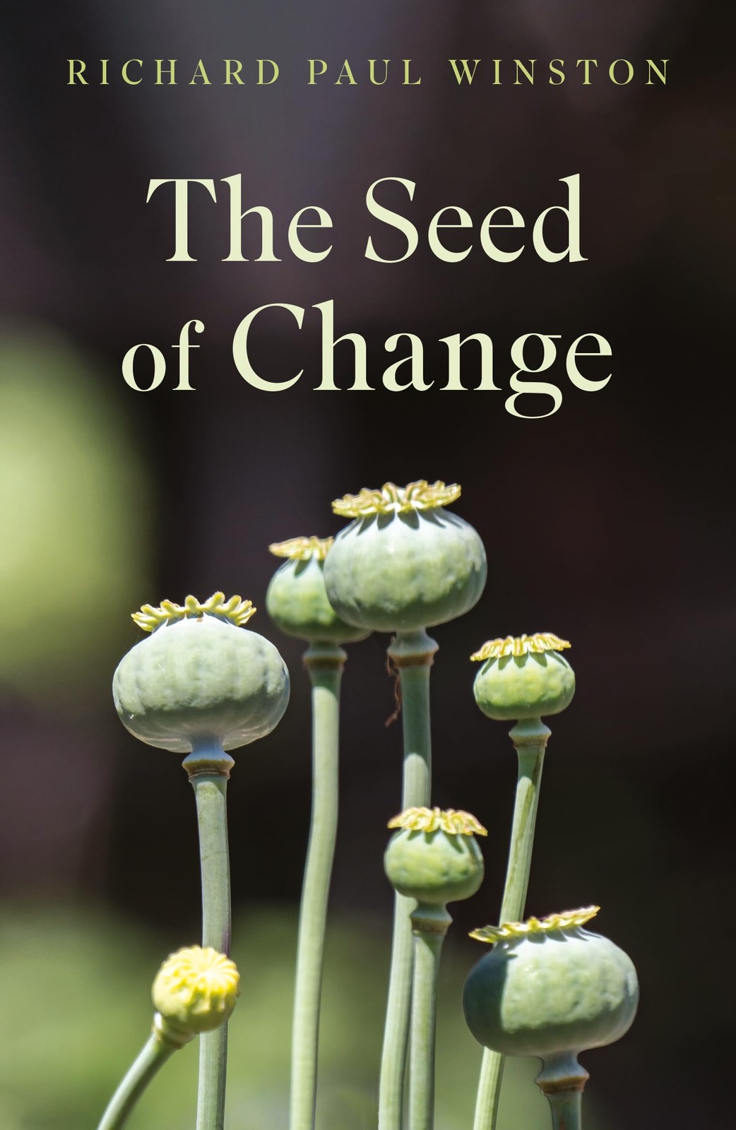 The Seed of Change by Richard Paul Winston (Paperback Book) - Image 3