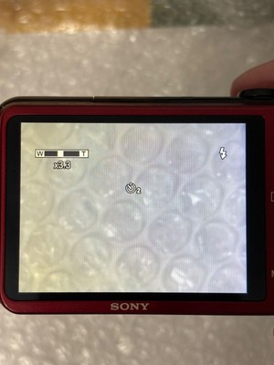 Sony Cyber Shot DSC-HX10V red 18.2MP 16x Optical Zoom Japanese