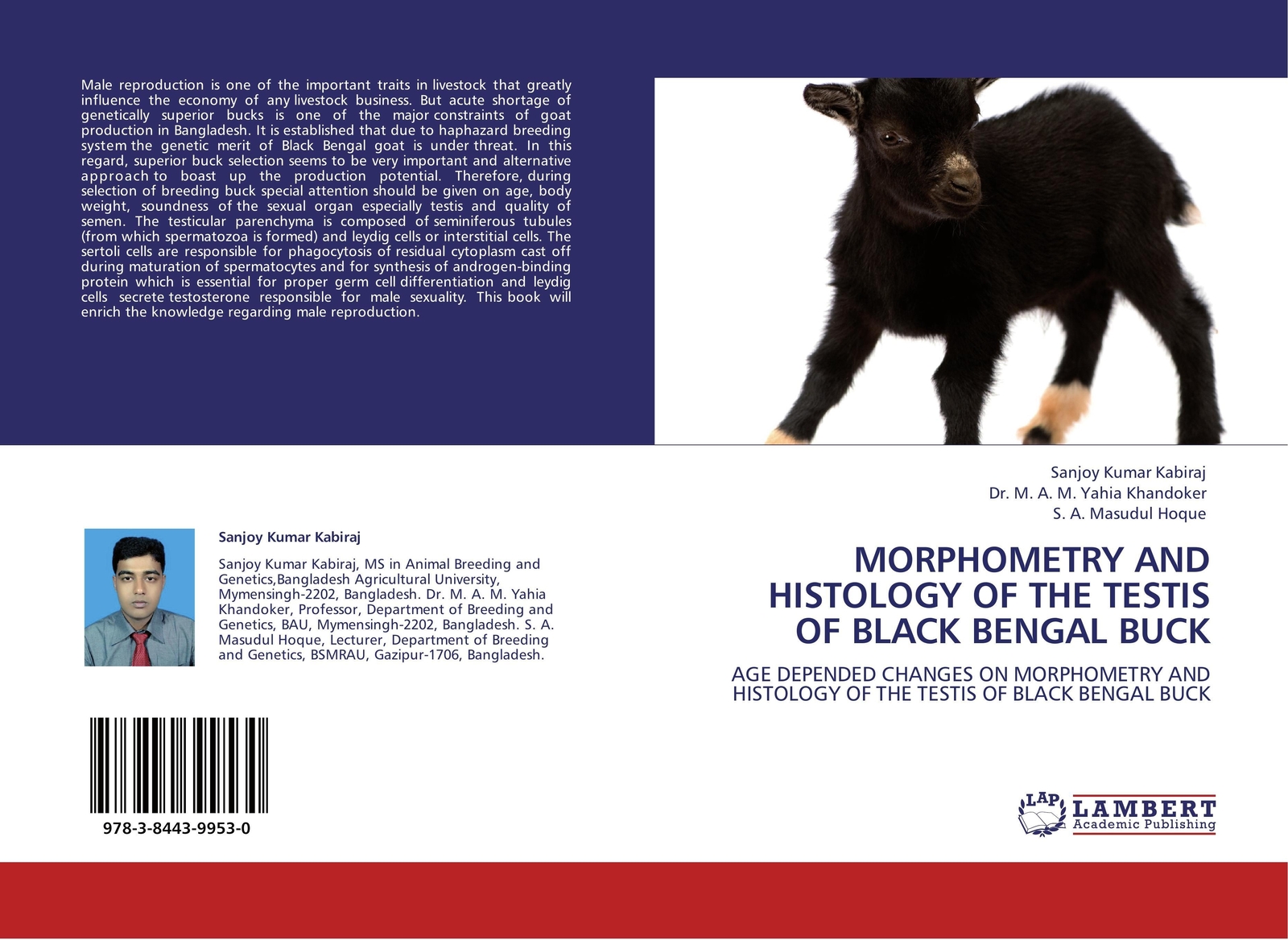 Thumbnail - Morphometry And Histology Of The Testis Of Black Bengal Buck | Kabiraj