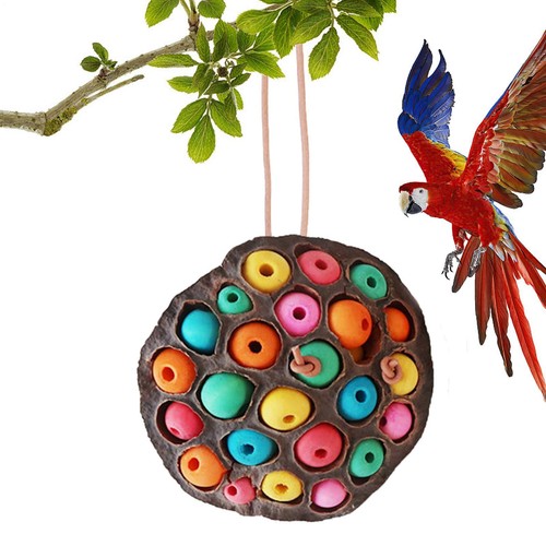 Natural Parrot Chew Toys Lotus Pod-shaped Parrot Biting Toys Parakeet Chew Toys - Picture 5 of 10