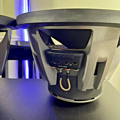 Two Alpine SWR-1242D Type-R 12