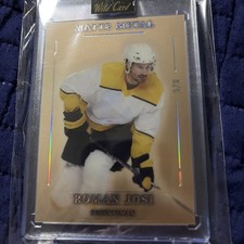 Jaromir Jagr /2 NEW RELEASE 2026 Wild Card Matte Metal