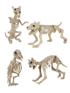 Esqueleto Perro Gato Rata Pájaro Decoraciones de Halloween 