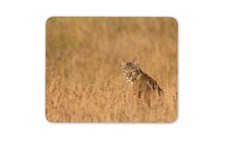 Bobcat Lynx Mouse Mat Pad - Wild Cat Animal Leopard Cheetah Gift Computer #14241