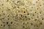 miniatura 7  - Sfera corallo fossile