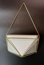Project 62 Succulent Wall Geometric Hanging White/Gold 10”