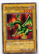 fire dragon yugioh card Yu-Gi-Oh! except Brotherhood of the Fire Fist Ryuhi - The Fire Dragon