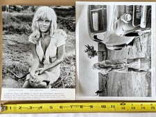 Fotografías de película Cool Hand Luke 2 1967 "Lucille" Joy Harmon