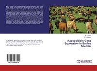 Haptoglobin Gene Expression In Bovine Mastitis R. Lakshmi