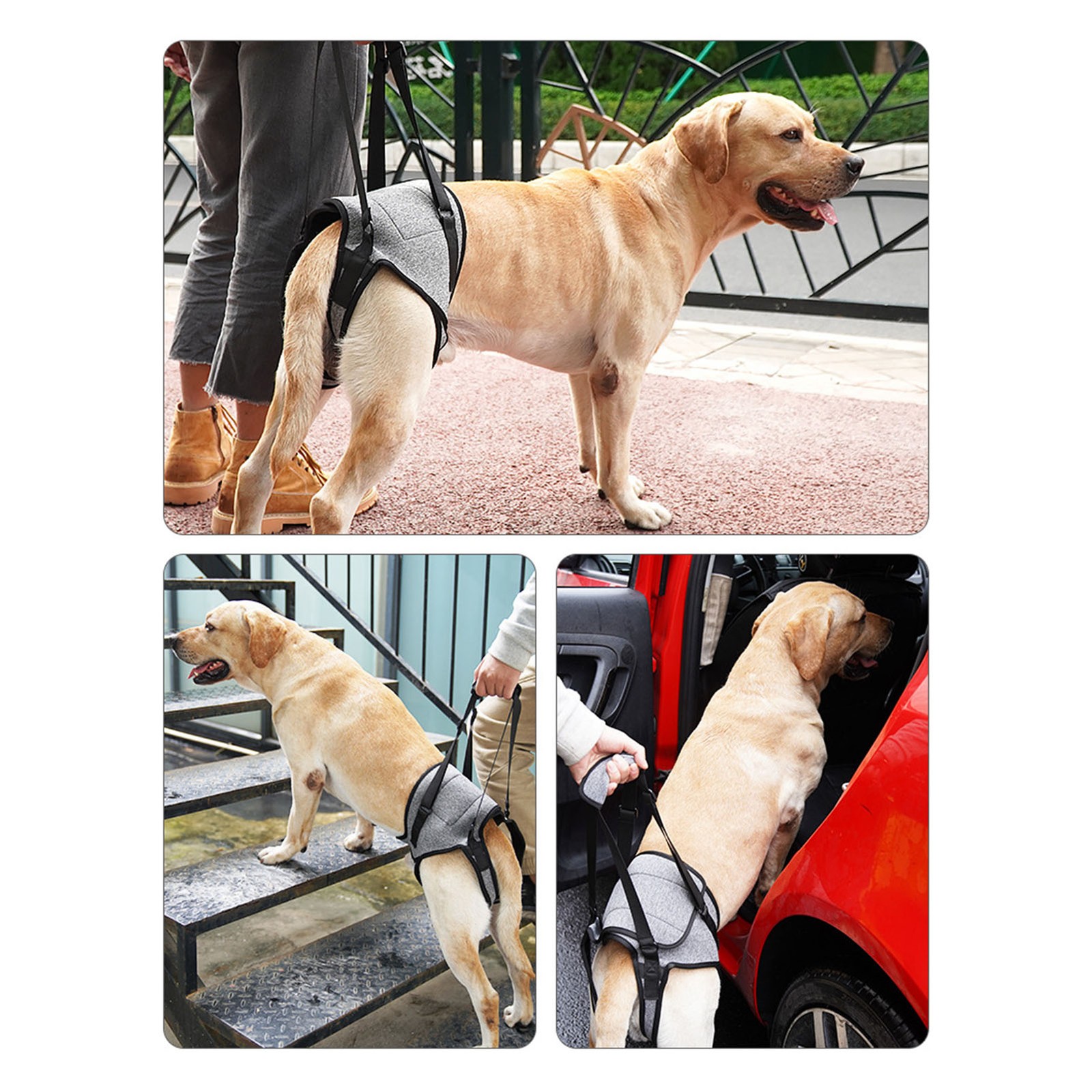 Adjustable Dog Back Leg Lift Harness Reduces Pressure For Elderly Dogs Excellent