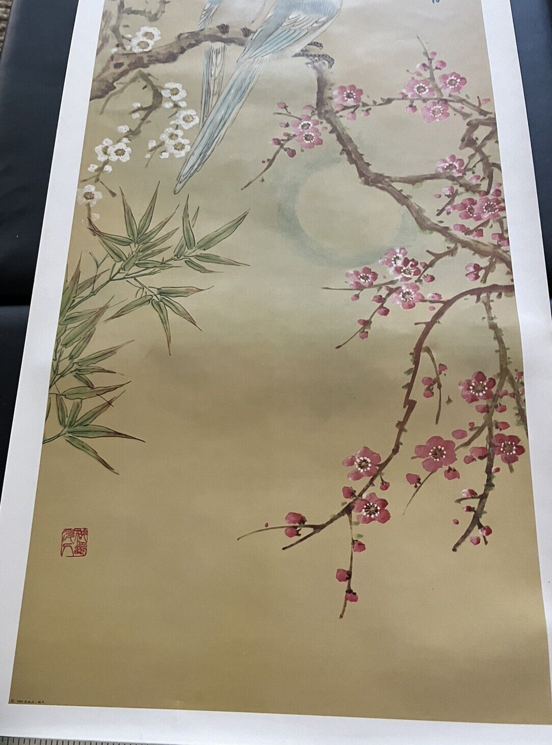Picture 6 of 14
