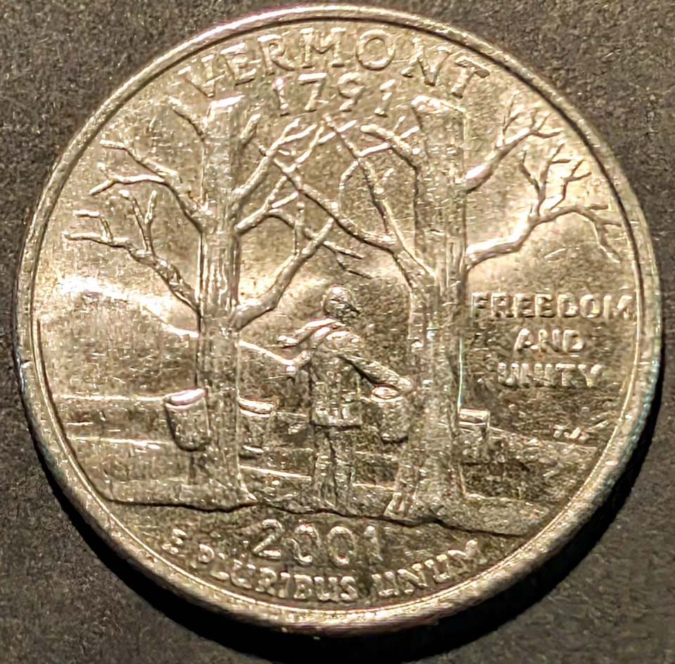 2001 P Vermont State Liberty Quarter - Obvious ERRORS DDO on A ~ Drooling George - Image 4 of 4