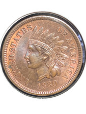  on The Hot Collector