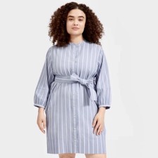 Everlane Blue & White Striped Cotton Weave Collarless Shirt Dress Size 0